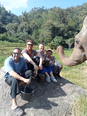 Elephant care in Chiang Mai