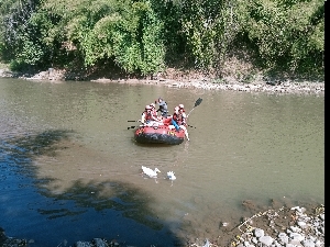 Whitewater rafting in Chiang Mai