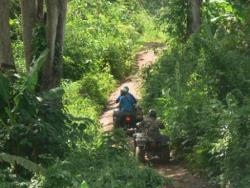 ATV ride through the jungle of Chiang Mai