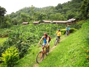 Mountainbiking in Chiang Mai