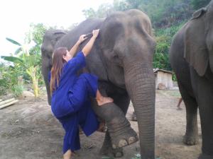 Mahout training course, Window to Chiang Mai, Thailand 
