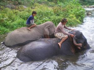 Mahout training course, Window to Chiang Mai, Thailand 