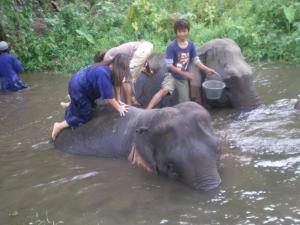 Elephant Sanctuary