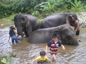 Mahout training course, Window to Chiang Mai, Thailand 