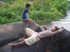 Mahout training course, Window to Chiang Mai, Thailand 