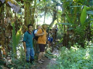 Mahout training course tour group, Window to Chiang Mai, Thailand 