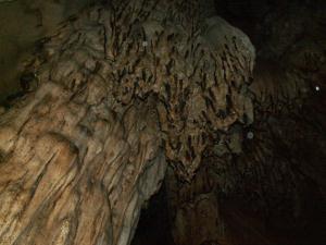 Amazing bat cave in