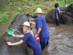 Elephant bathing in