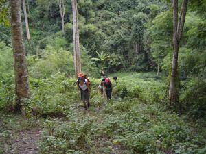 Tour group trekking in the mountains of