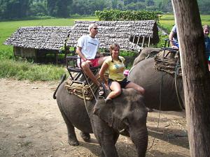 Elephant ride