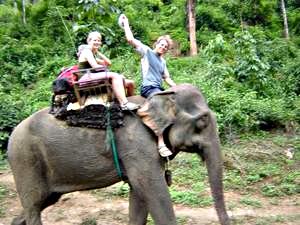 Elephant ride