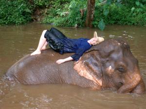 Elephant bathing