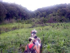 Hiking through the jungle