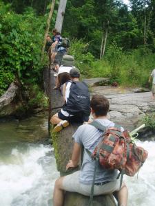 Crossing a jungle stream