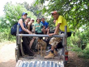 Tour Group