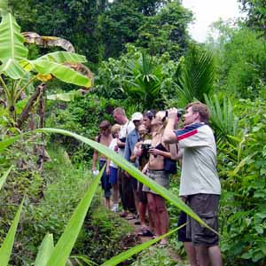 Mountain hiking through the jungle