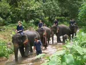 Mahout Training