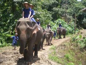 Mahout Training