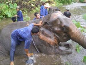 Mahout Training