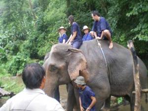 Mahout Training